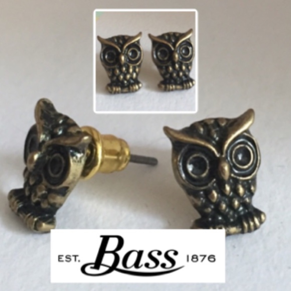 Owl Earrings